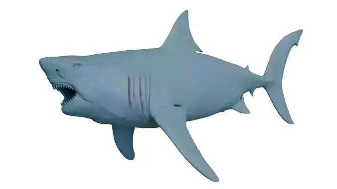 Megalodon
