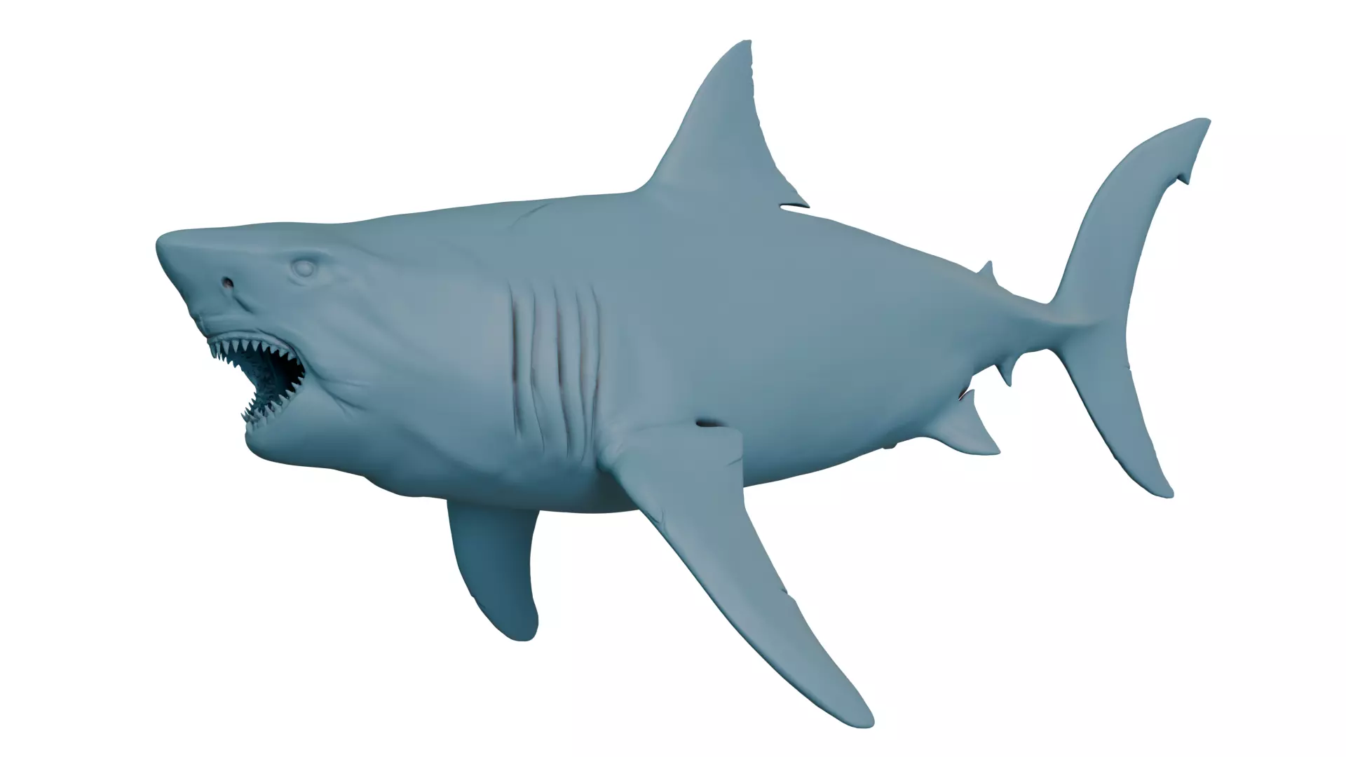 Megalodon 3D print model_0
