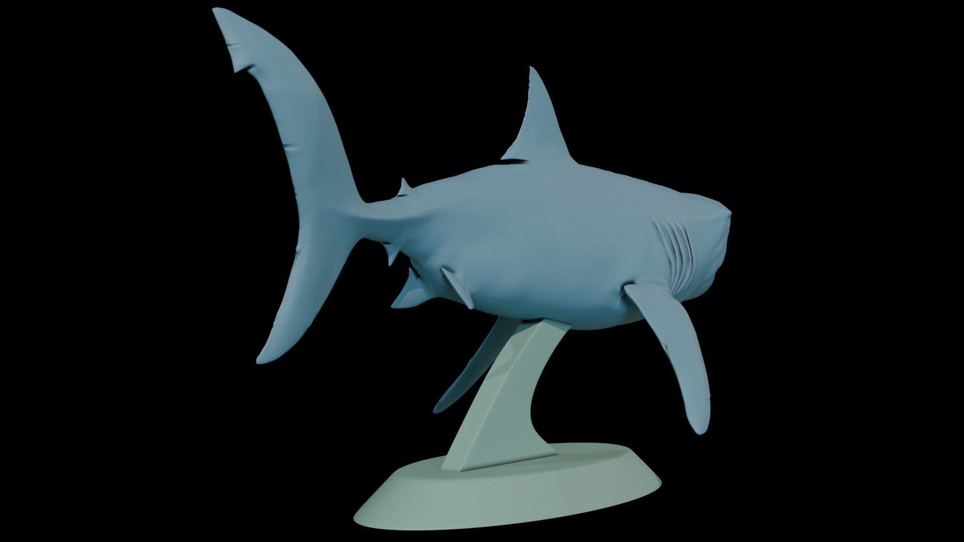 Megalodon 3D print model_6
