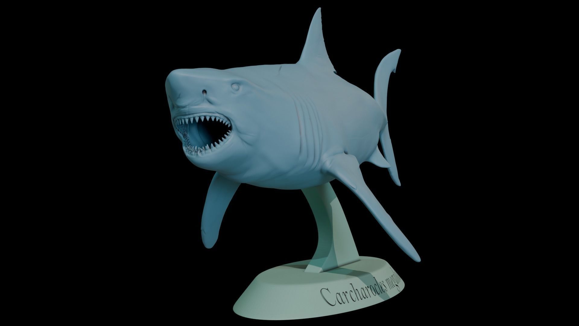 Megalodon 3D print model_3