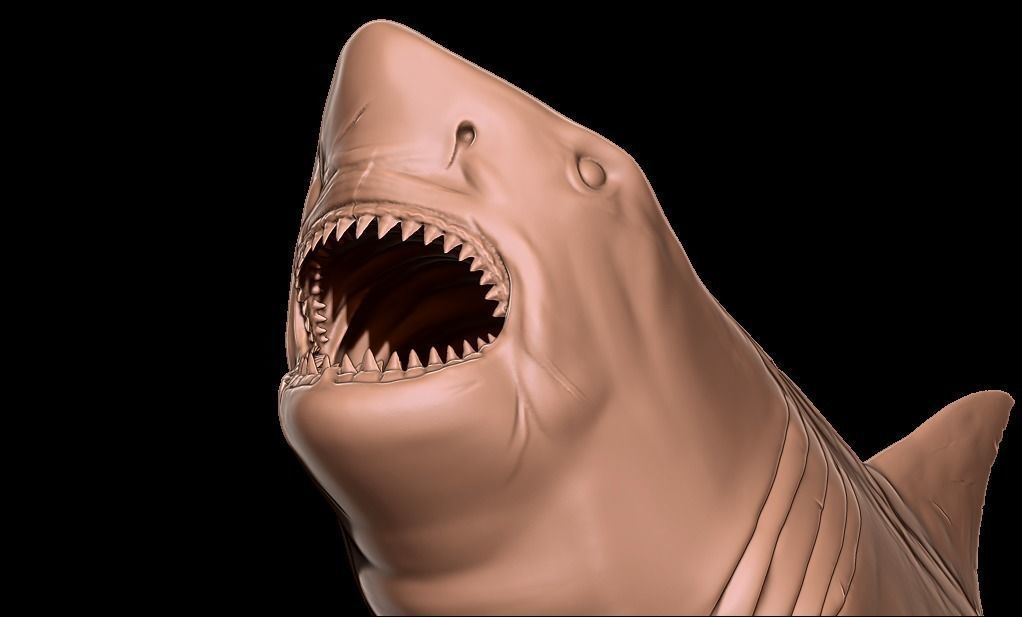 Megalodon 3D print model_17