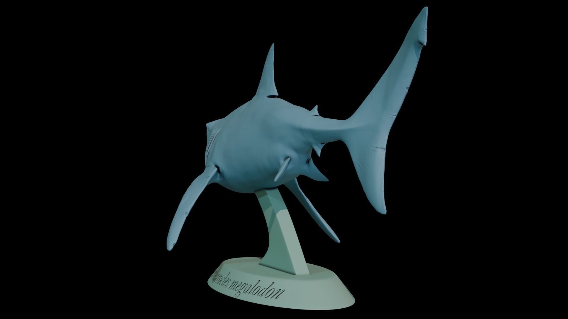 Megalodon 3D print model_7