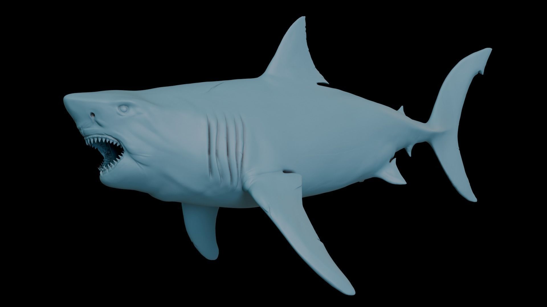 Megalodon 3D print model_1
