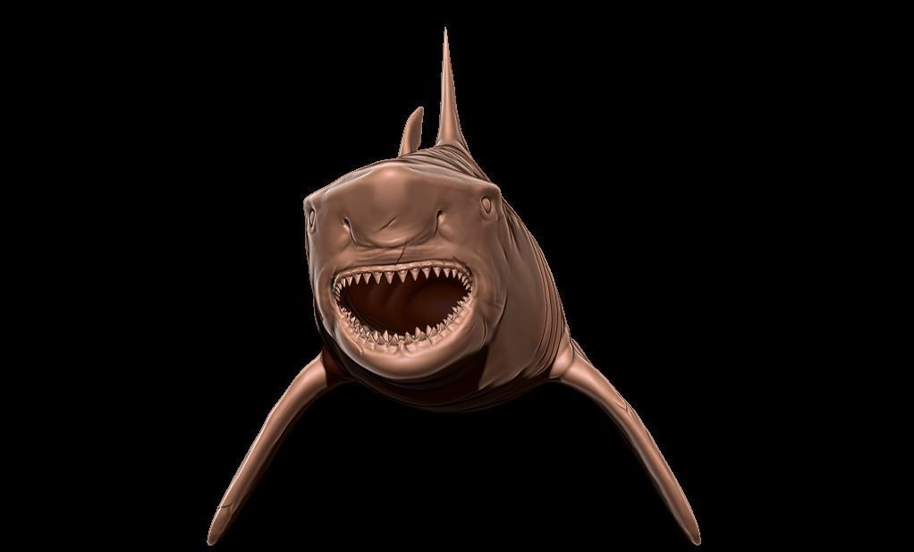 Megalodon 3D print model_9