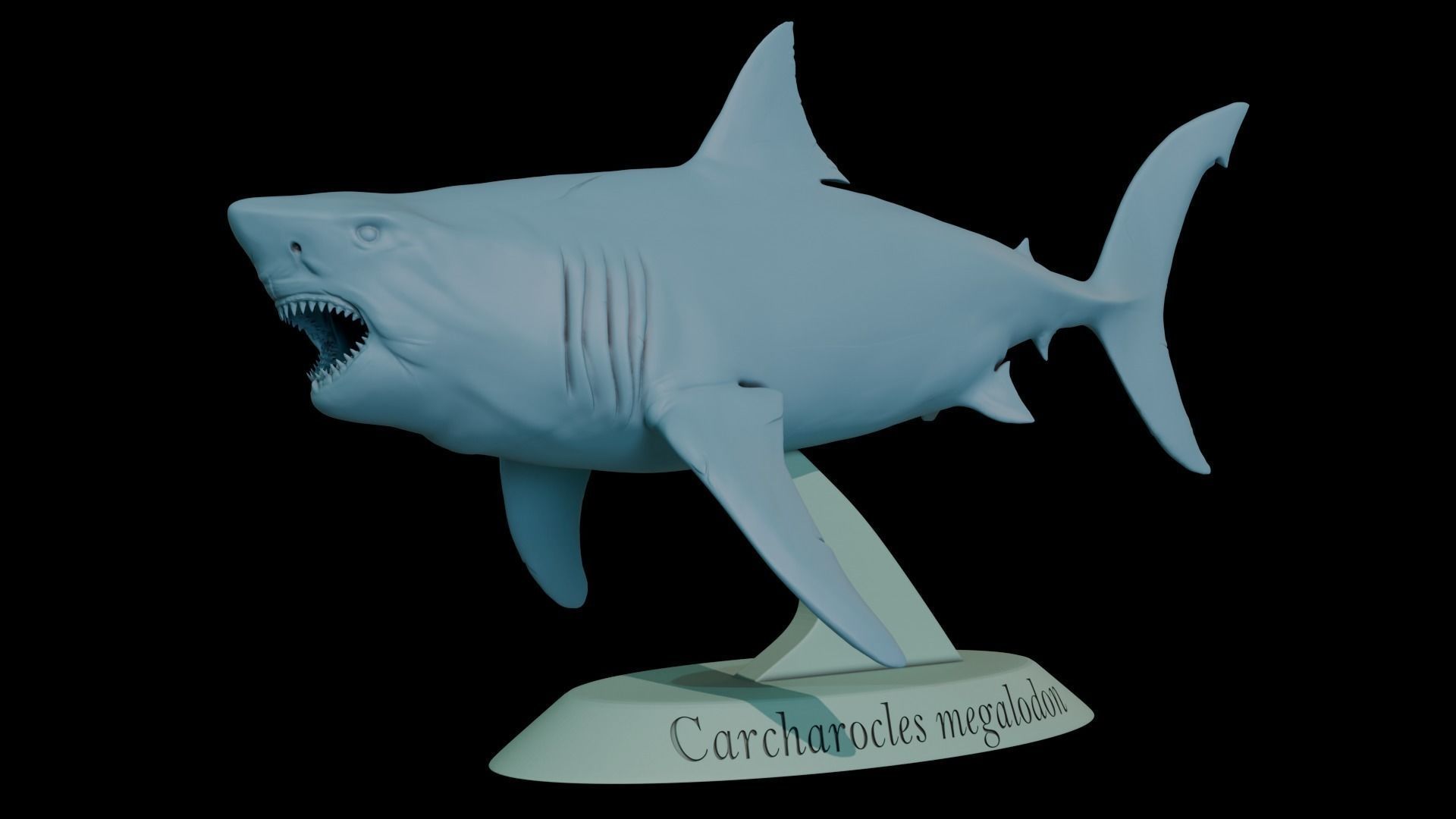 Megalodon 3D print model_2