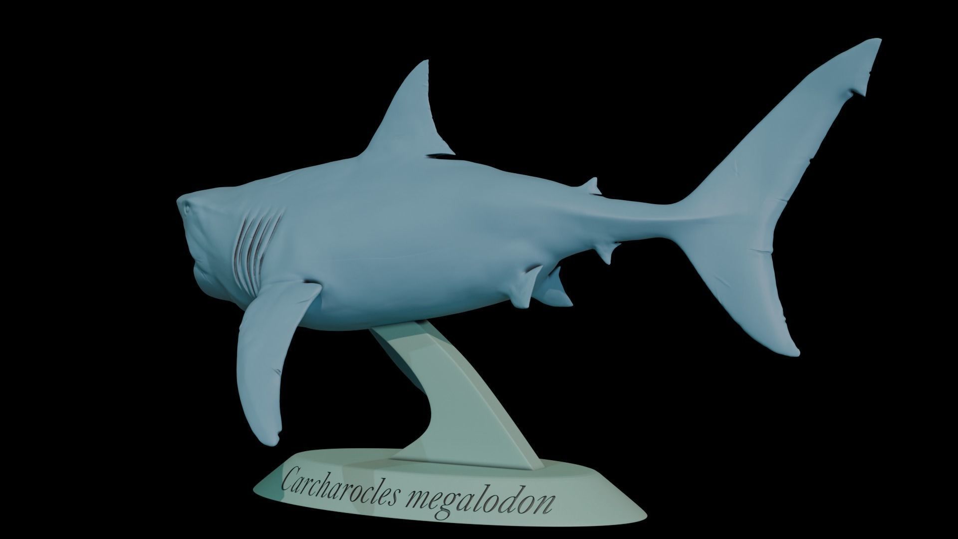 Megalodon 3D print model_8