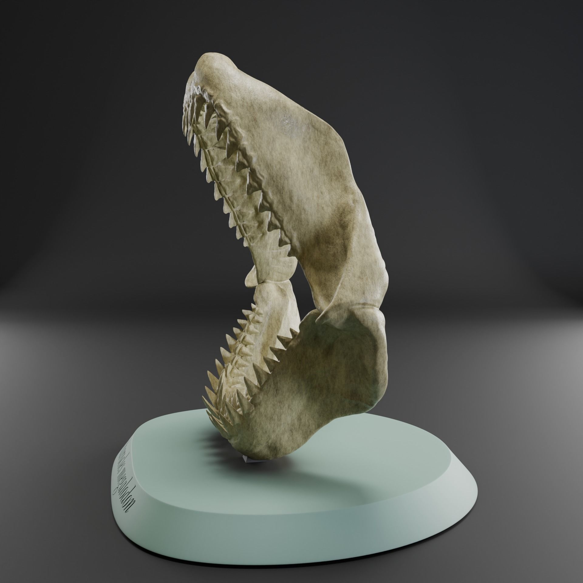 Megalodon jaw 3D print model_2