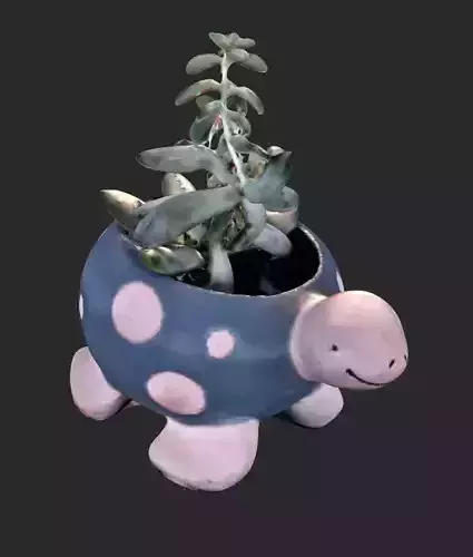 Succulent Turtle Pot Plant 3D model