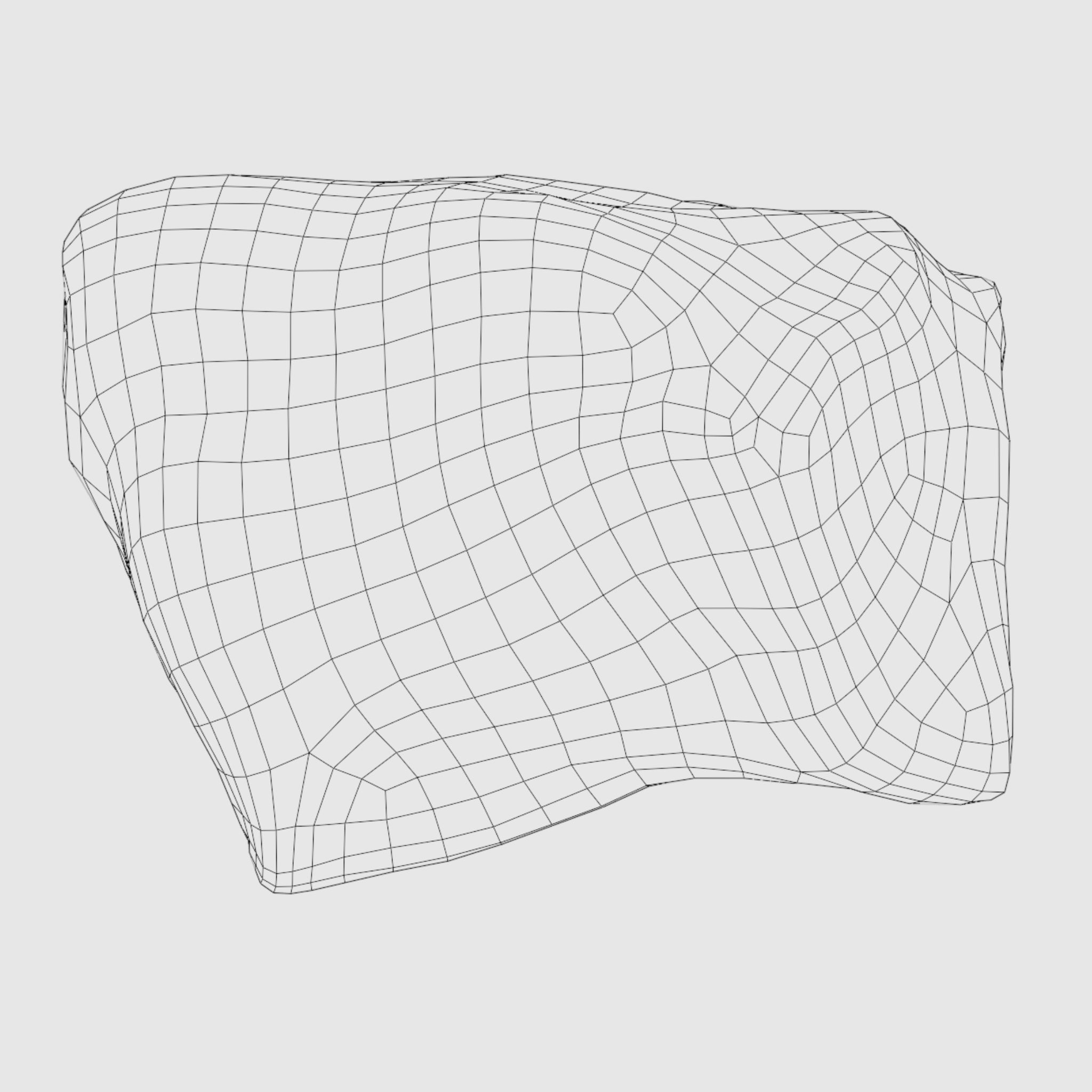 Small Rock Low-poly 3D model_2