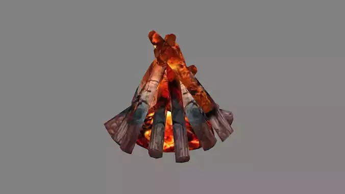 Bonfire pile - campfires - Burning wood - A