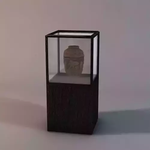 Display case with vase