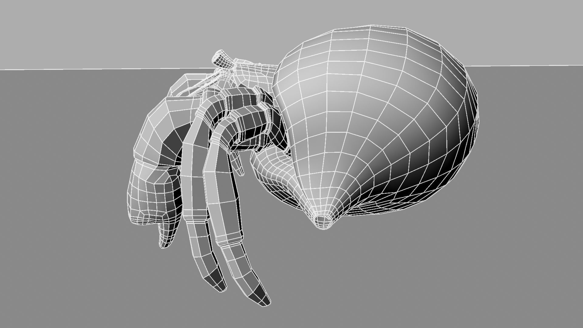 Hermit crab 3D model_21