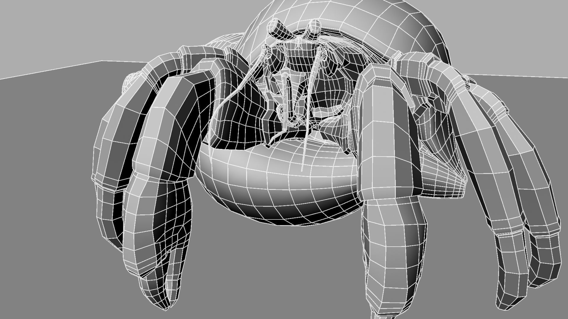Hermit crab 3D model_16
