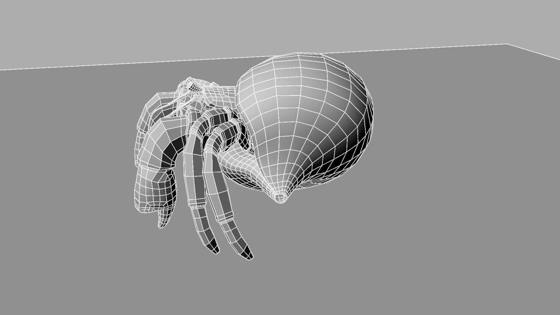 Hermit crab 3D model_10