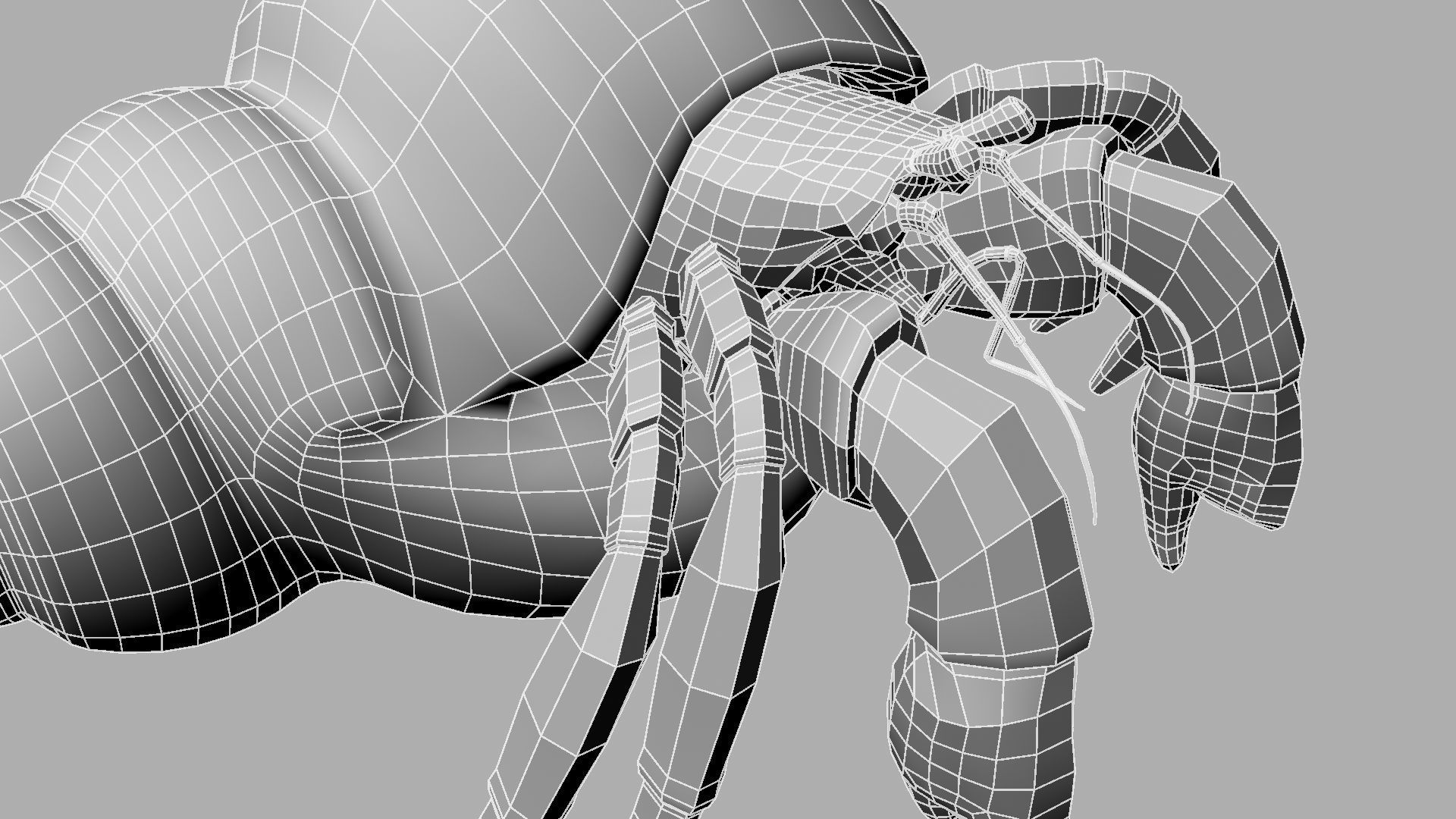 Hermit crab 3D model_17