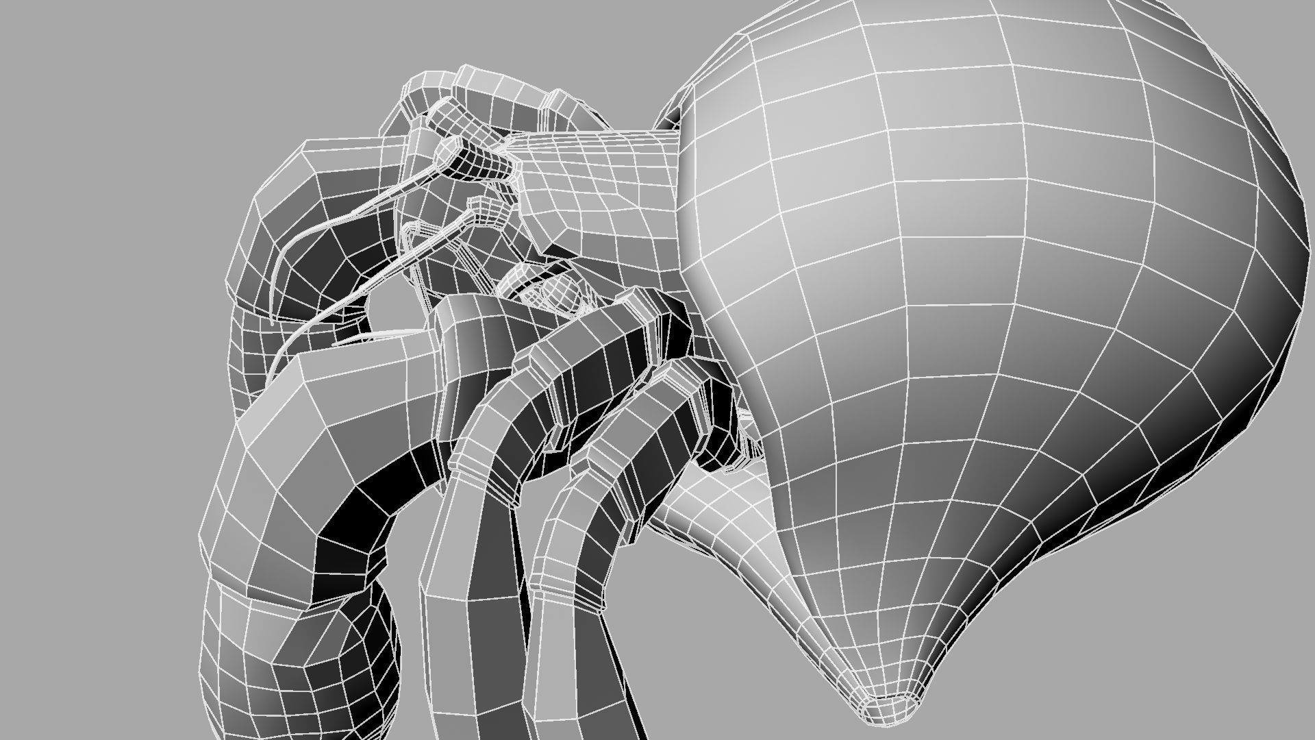 Hermit crab 3D model_18