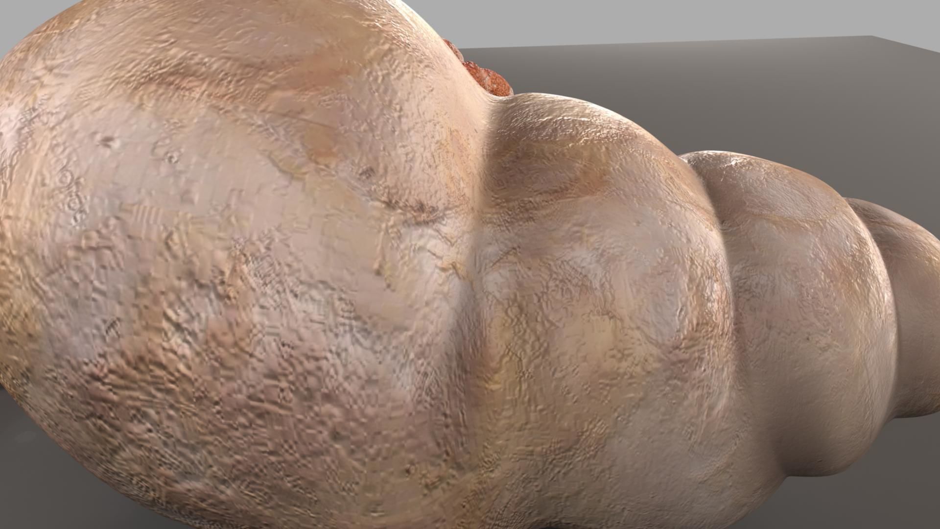 Hermit crab 3D model_25