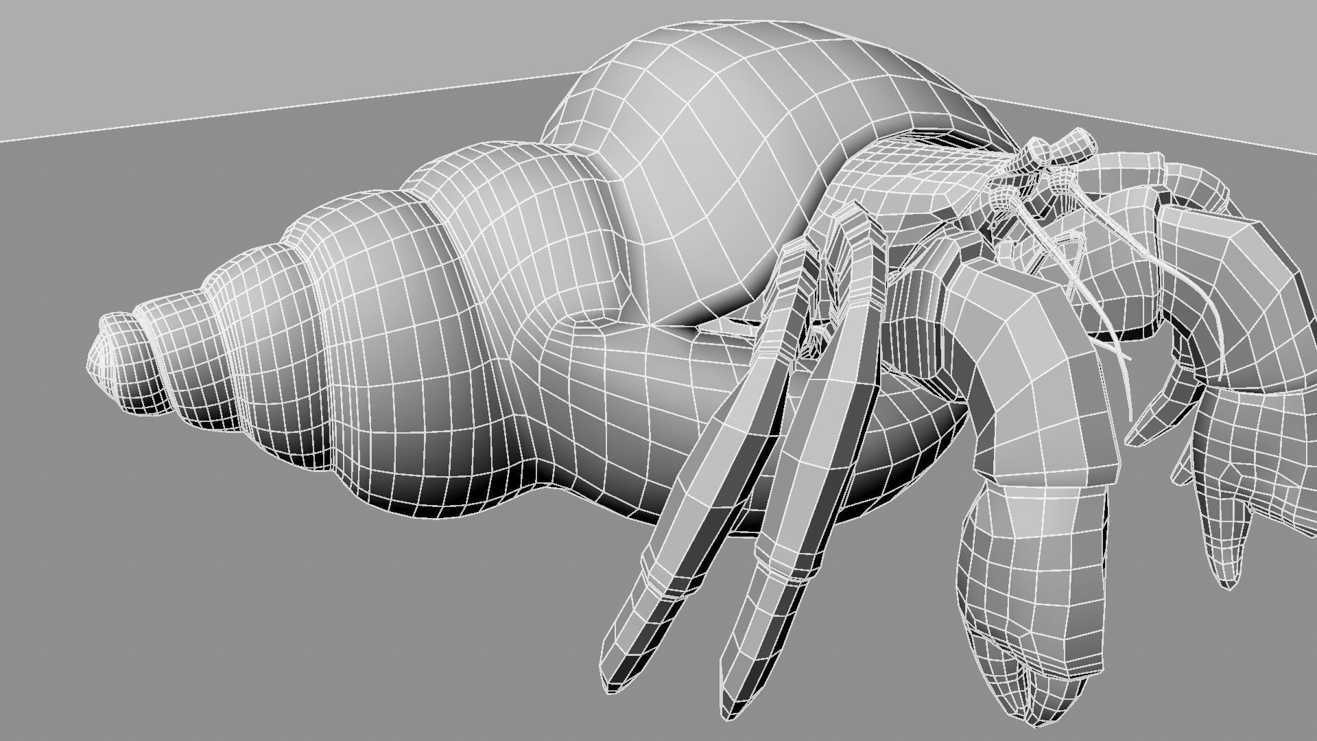 Hermit crab 3D model_13