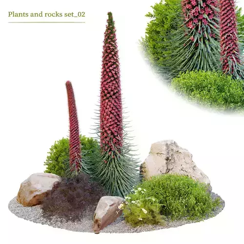 Rocks and plant 02