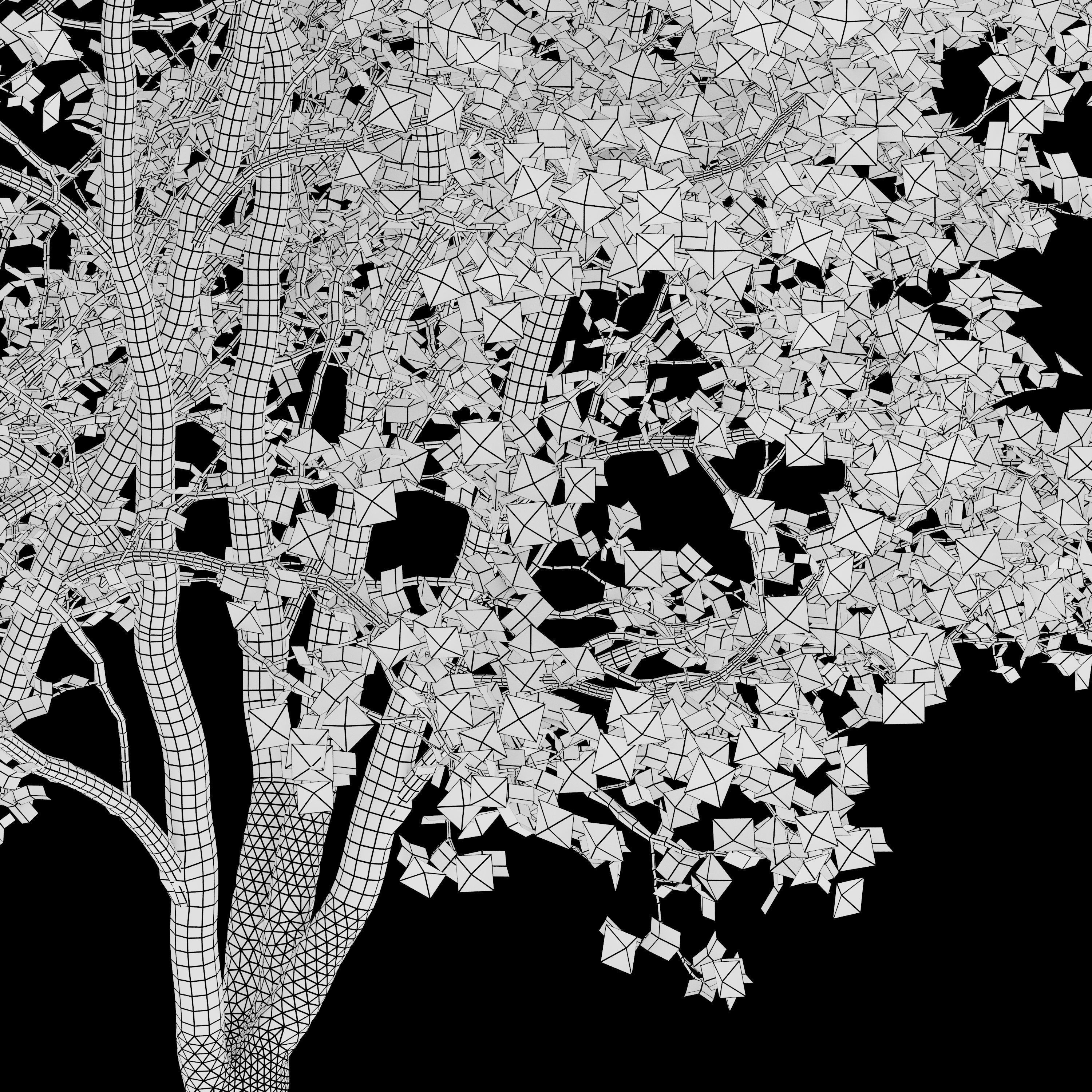 Callery pear 03 3D model_6