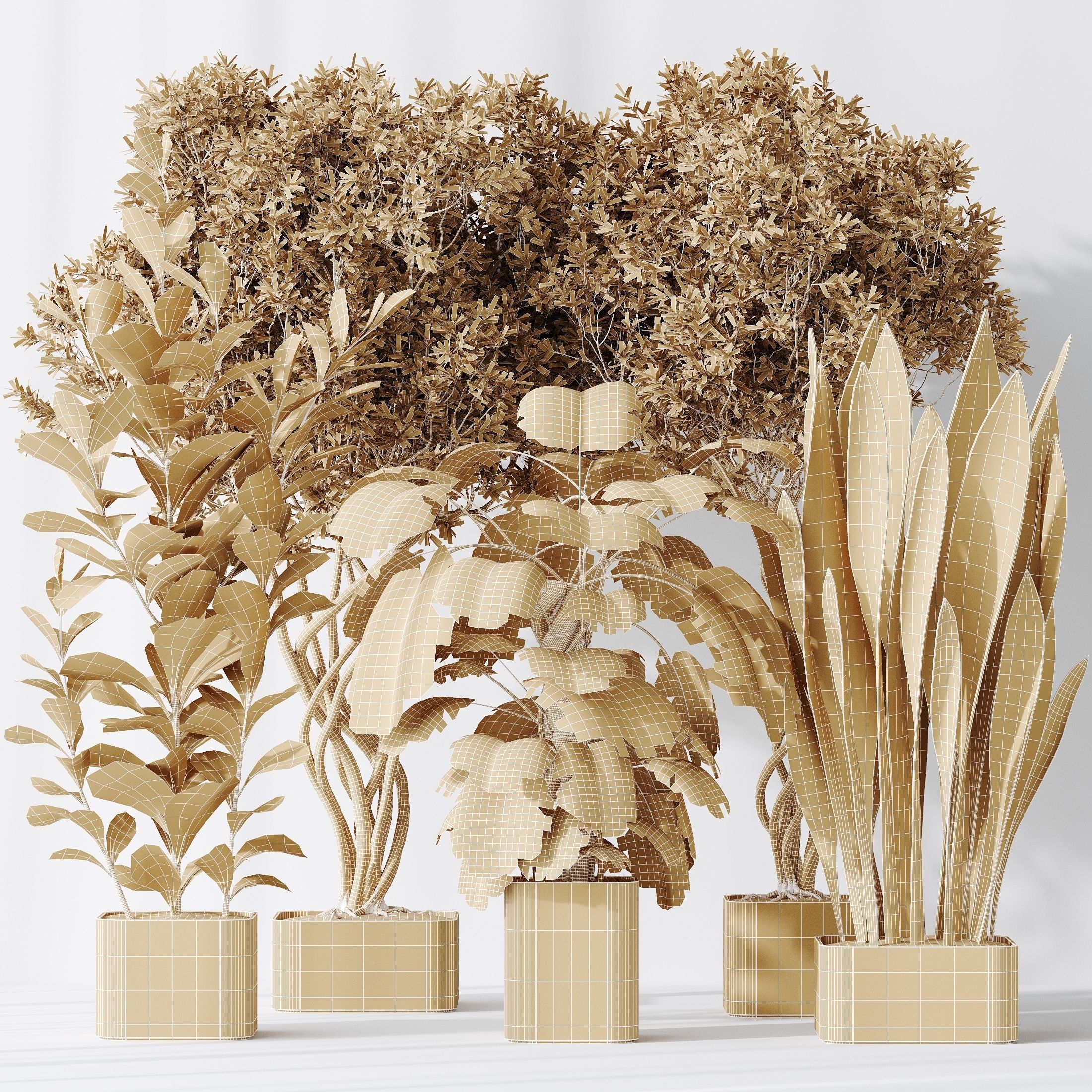 Indoor plants set 91 Green Sansevieria and Elegant  3D model_4