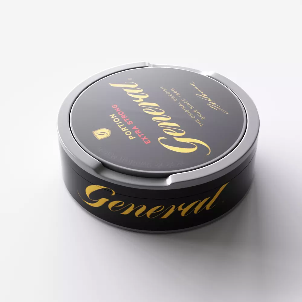 Swedish snusdosa General 3D model_0