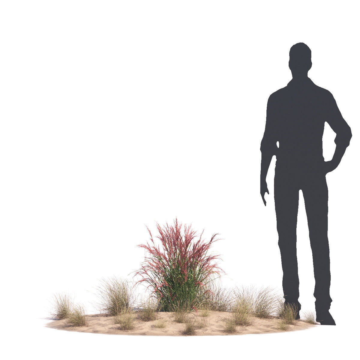 Archmodels vol 276 for 3dsmax - desert plants 3D model_68