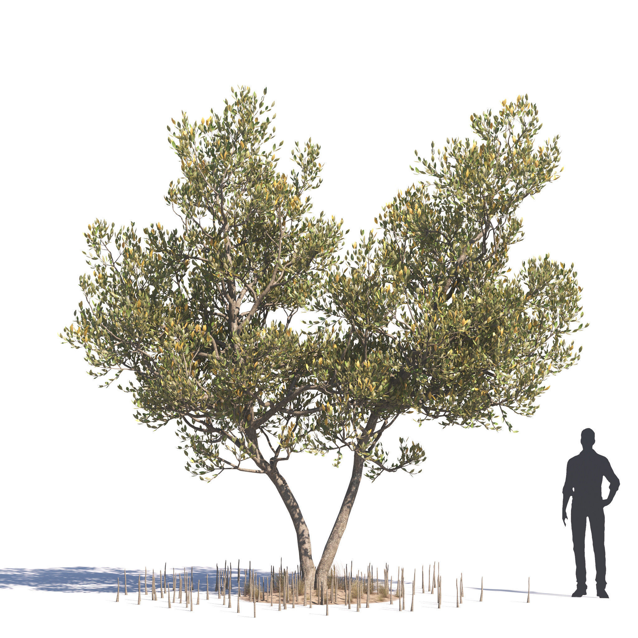 Archmodels vol 276 for 3dsmax - desert plants 3D model_61