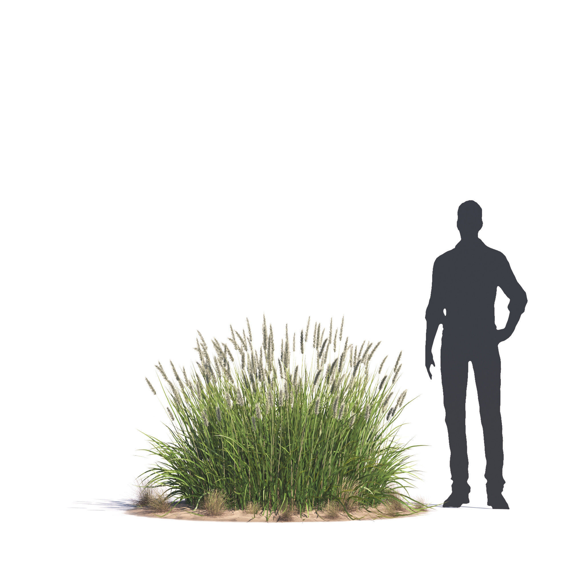 Archmodels vol 276 for 3dsmax - desert plants 3D model_63