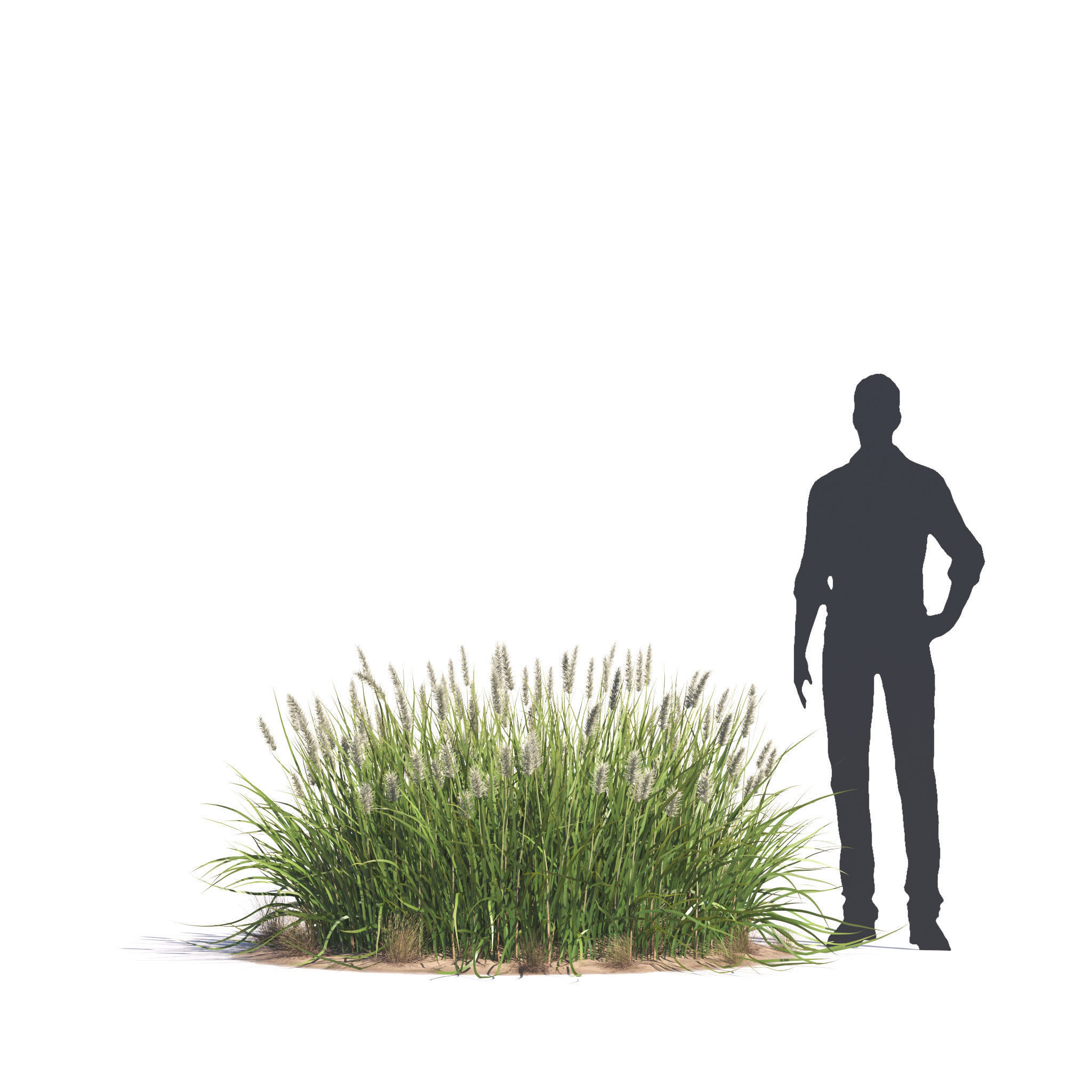 Archmodels vol 276 for 3dsmax - desert plants 3D model_64