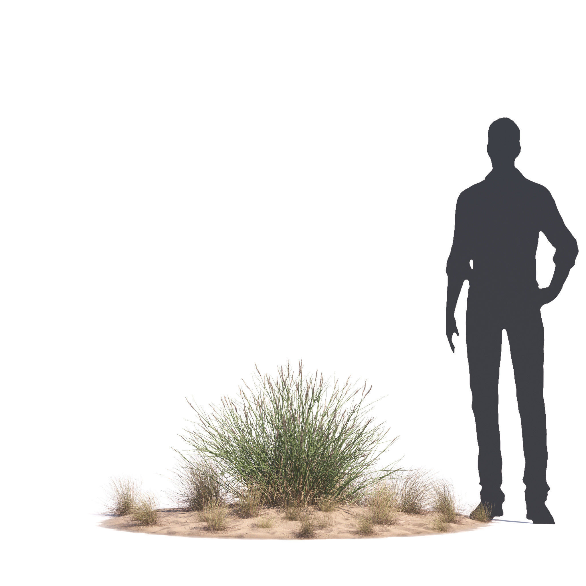 Archmodels vol 276 for 3dsmax - desert plants 3D model_65