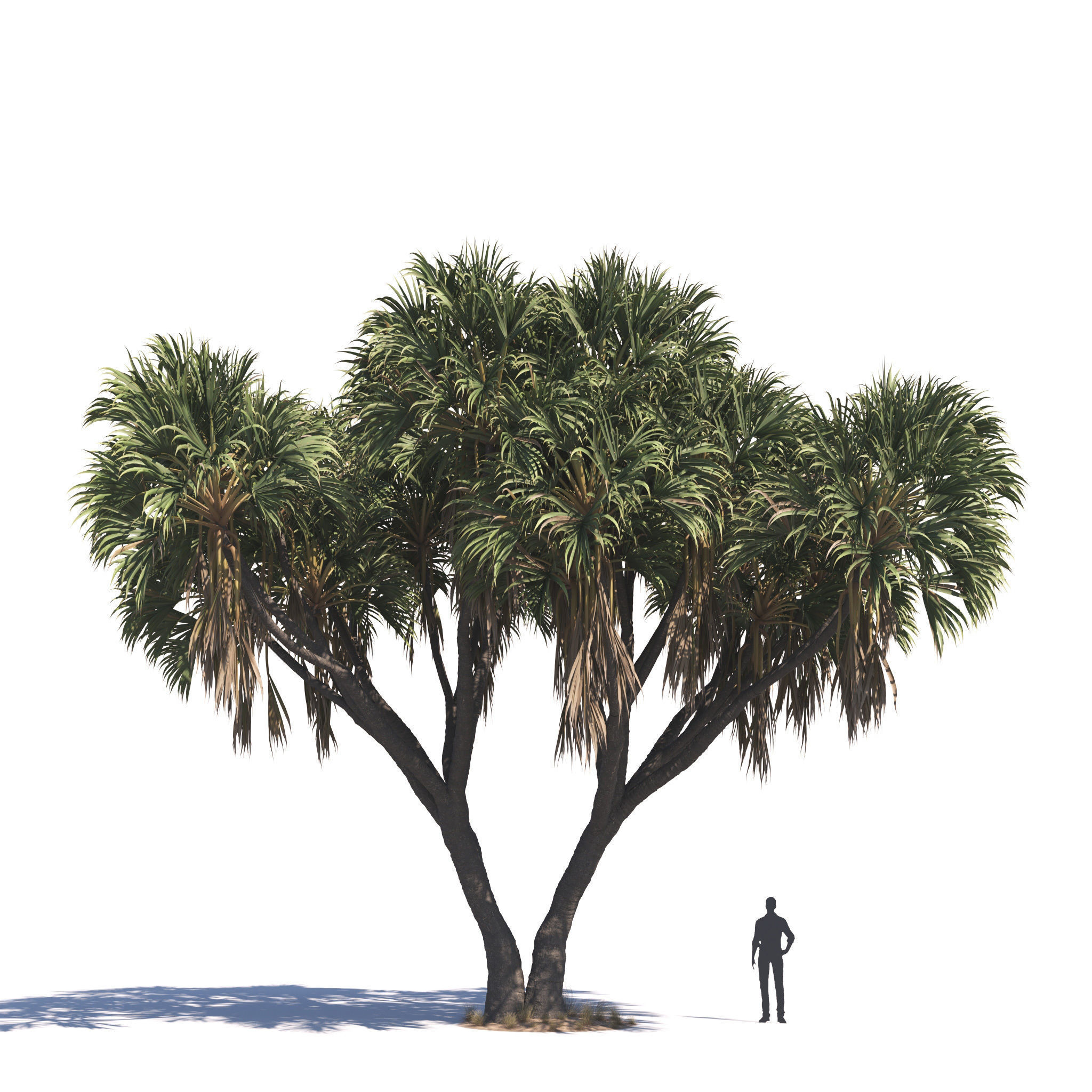 Archmodels vol 276 for 3dsmax - desert plants 3D model_27