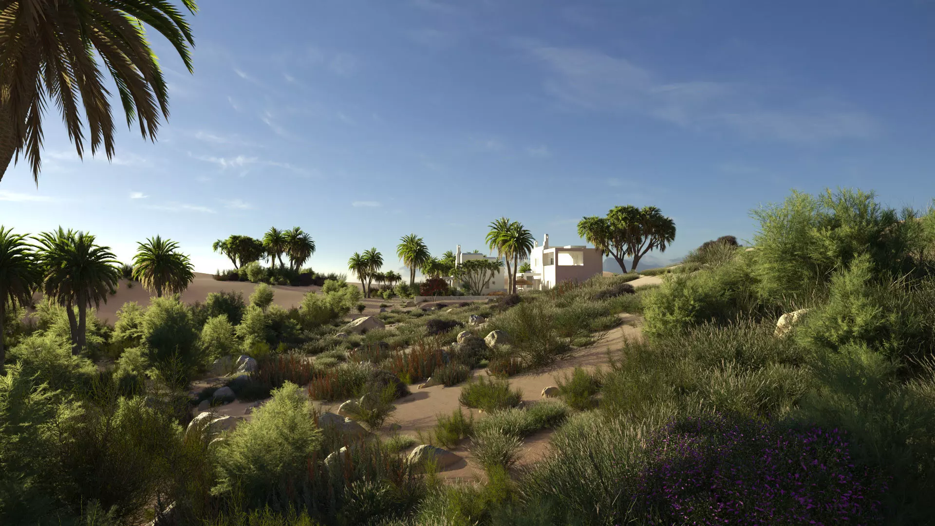Archmodels vol 276 for 3dsmax - desert plants 3D model_0