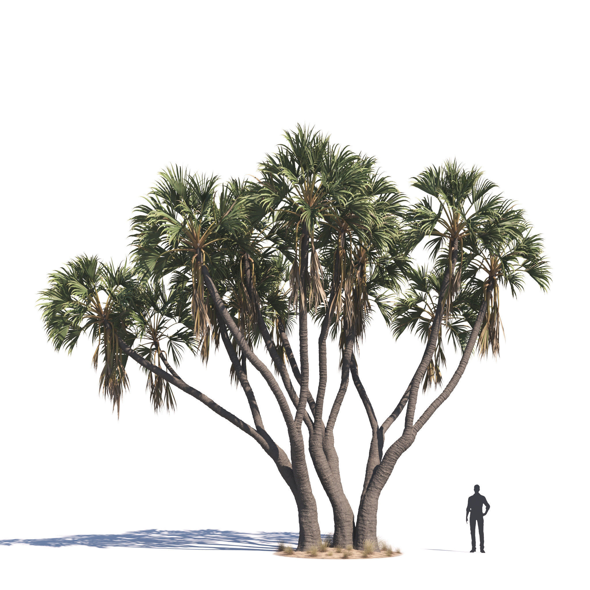 Archmodels vol 276 for 3dsmax - desert plants 3D model_28