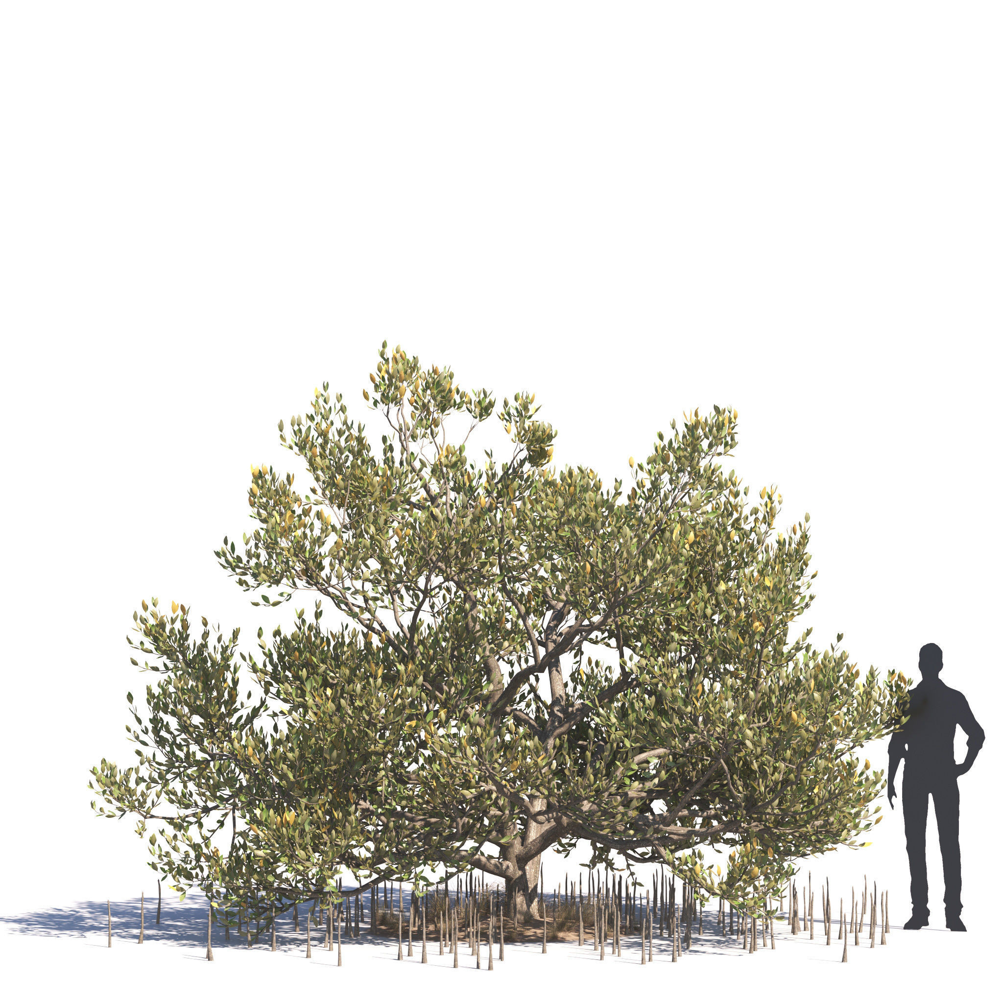 Archmodels vol 276 for 3dsmax - desert plants 3D model_59