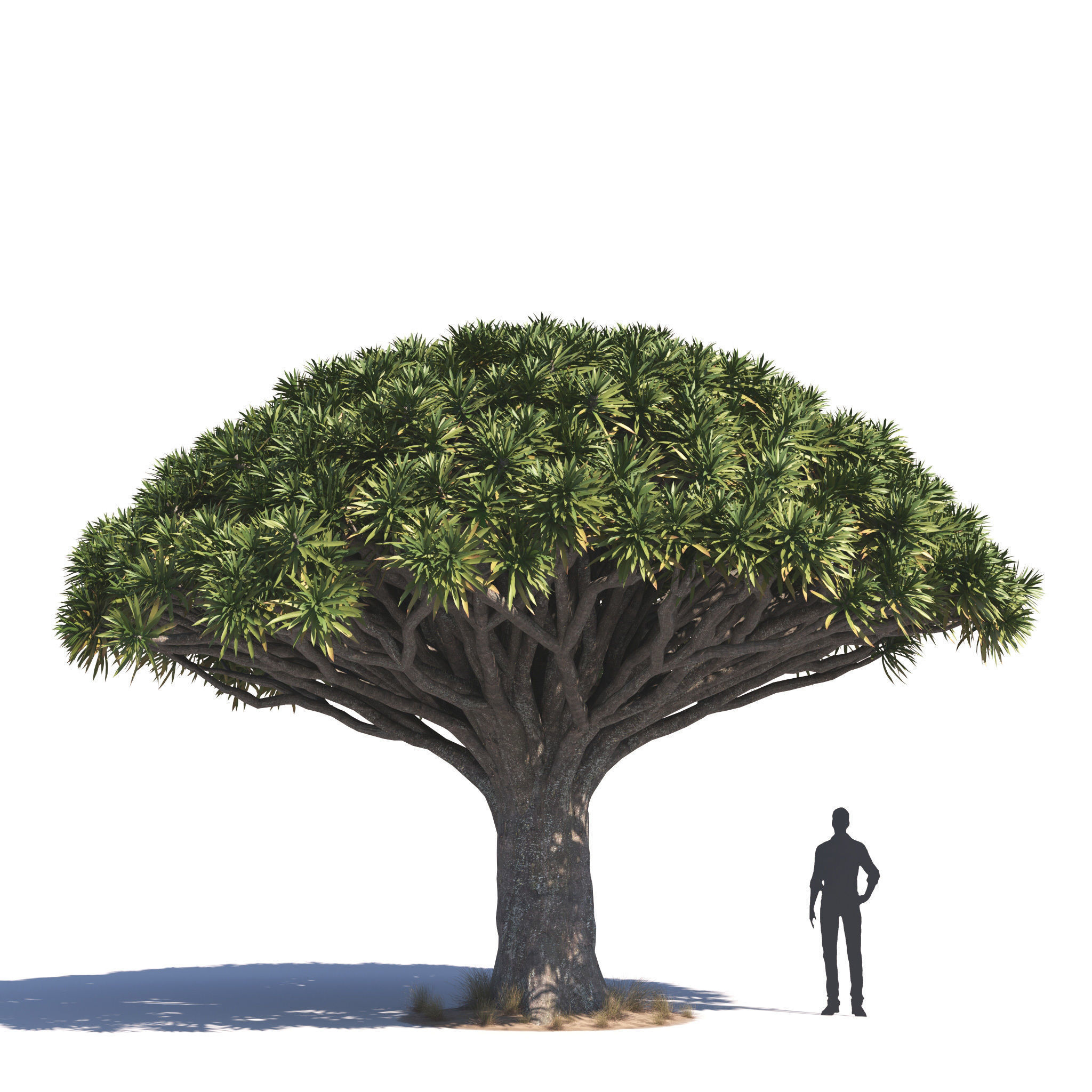 Archmodels vol 276 for 3dsmax - desert plants 3D model_15