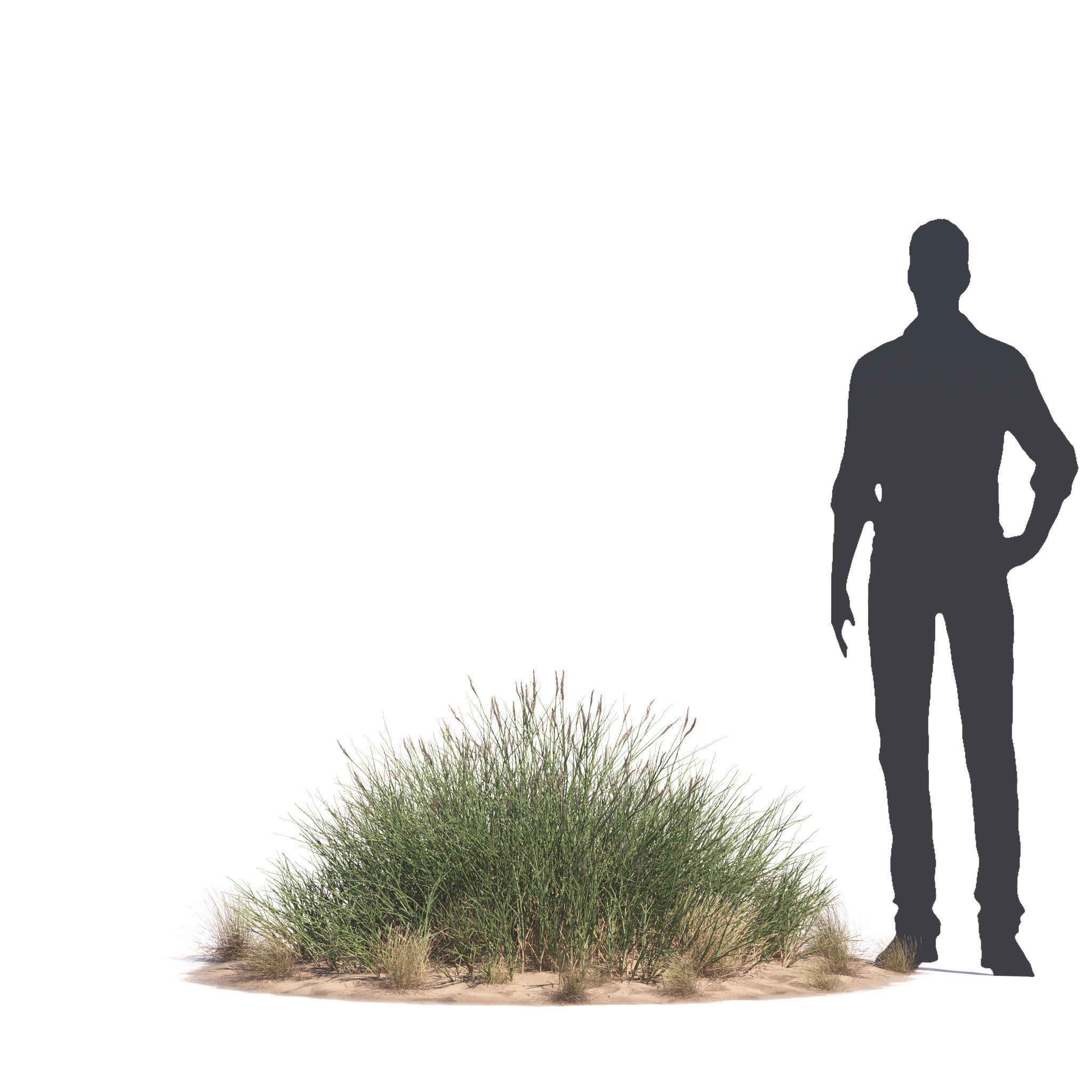 Archmodels vol 276 for 3dsmax - desert plants 3D model_66