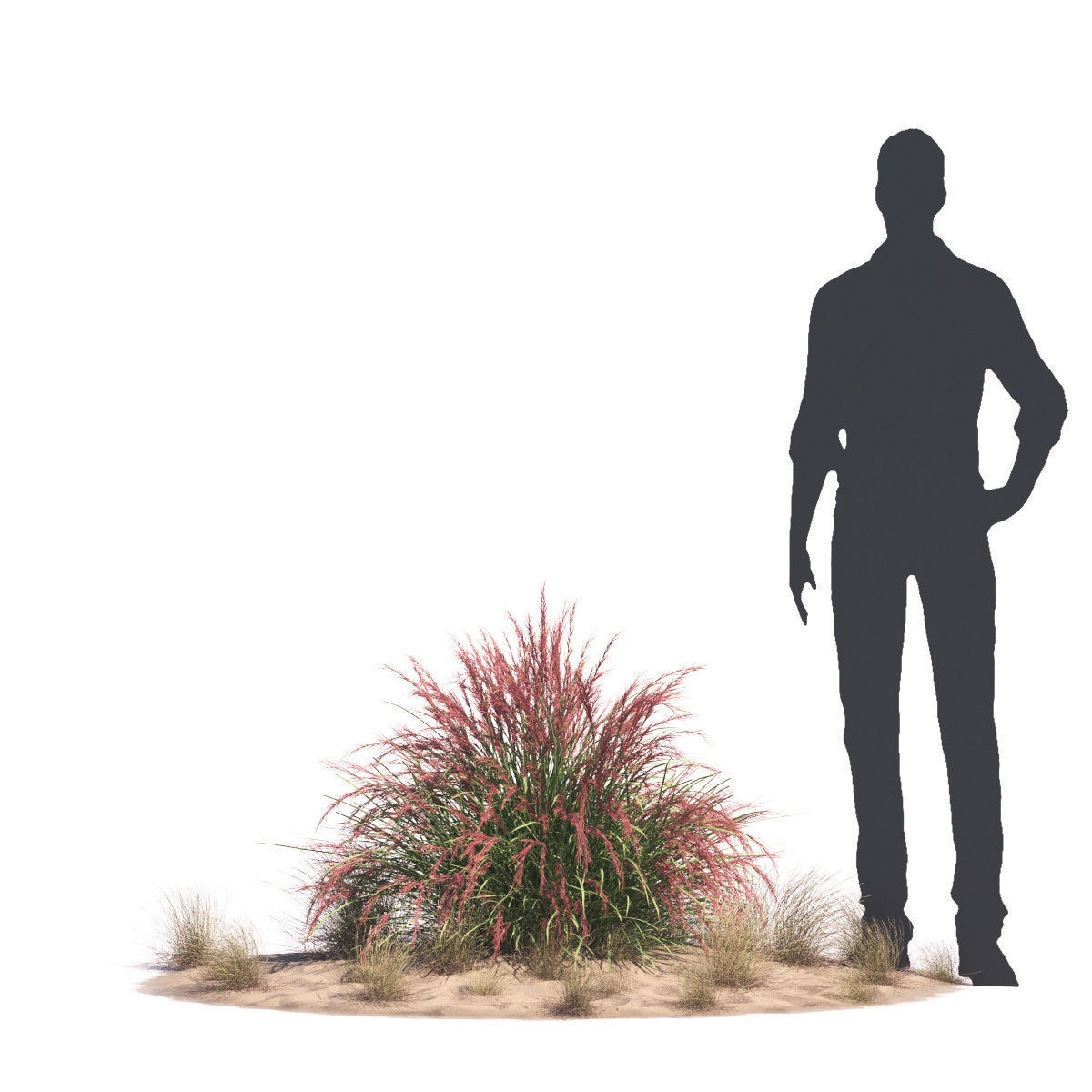 Archmodels vol 276 for 3dsmax - desert plants 3D model_70