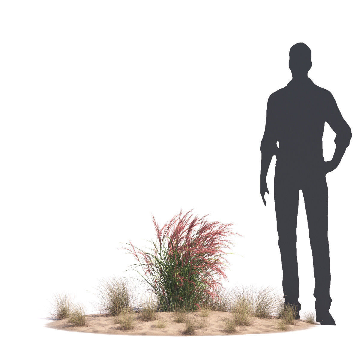 Archmodels vol 276 for 3dsmax - desert plants 3D model_69