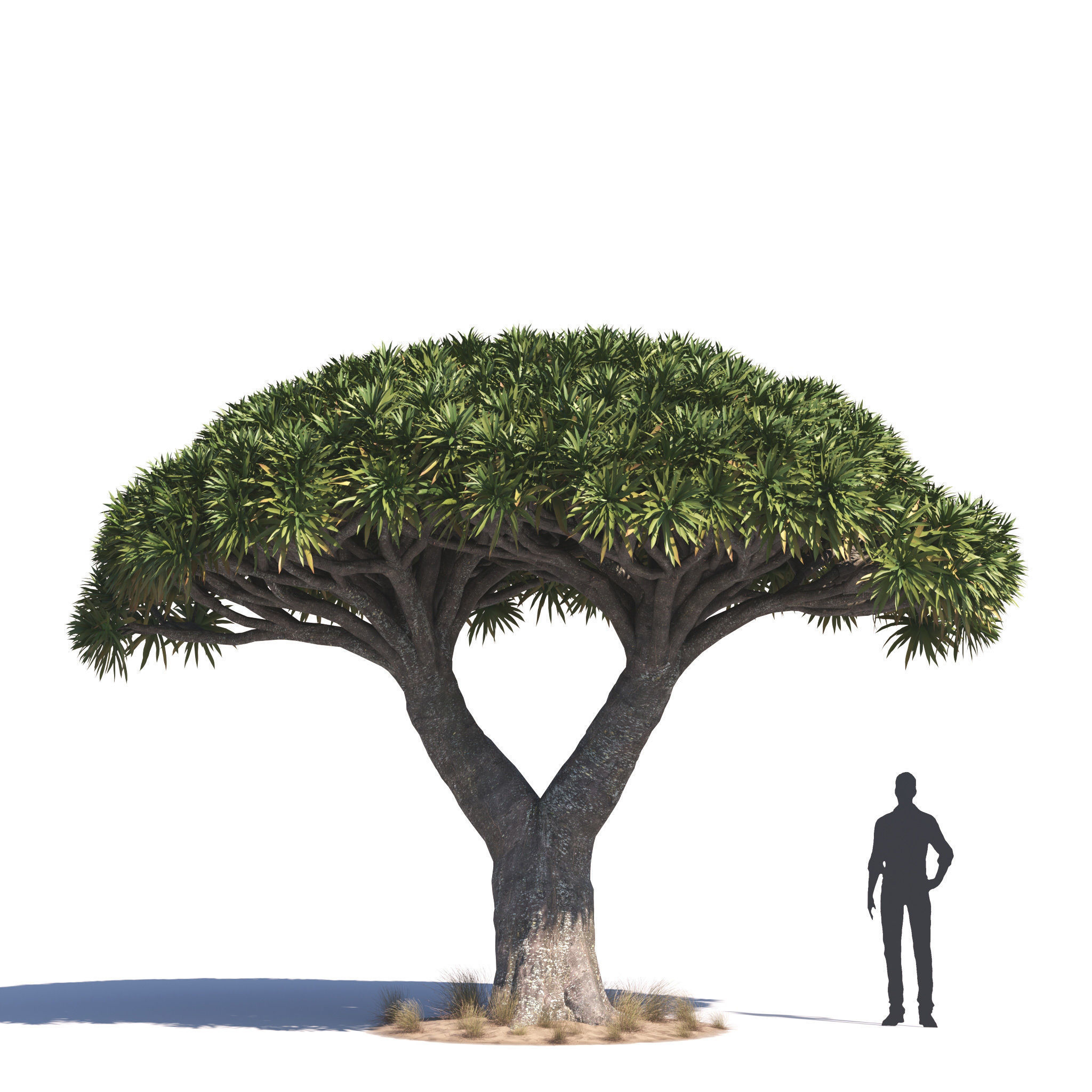 Archmodels vol 276 for 3dsmax - desert plants 3D model_14