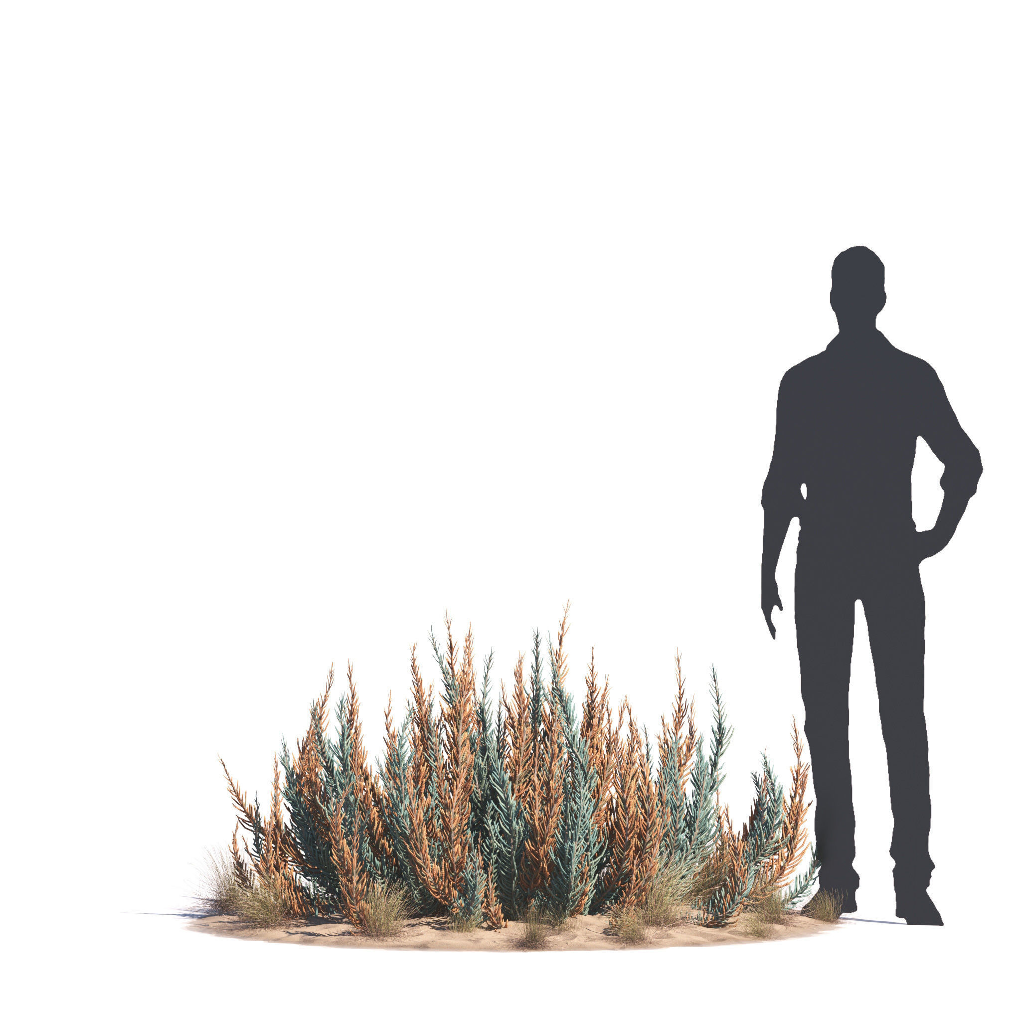 Archmodels vol 276 for 3dsmax - desert plants 3D model_37