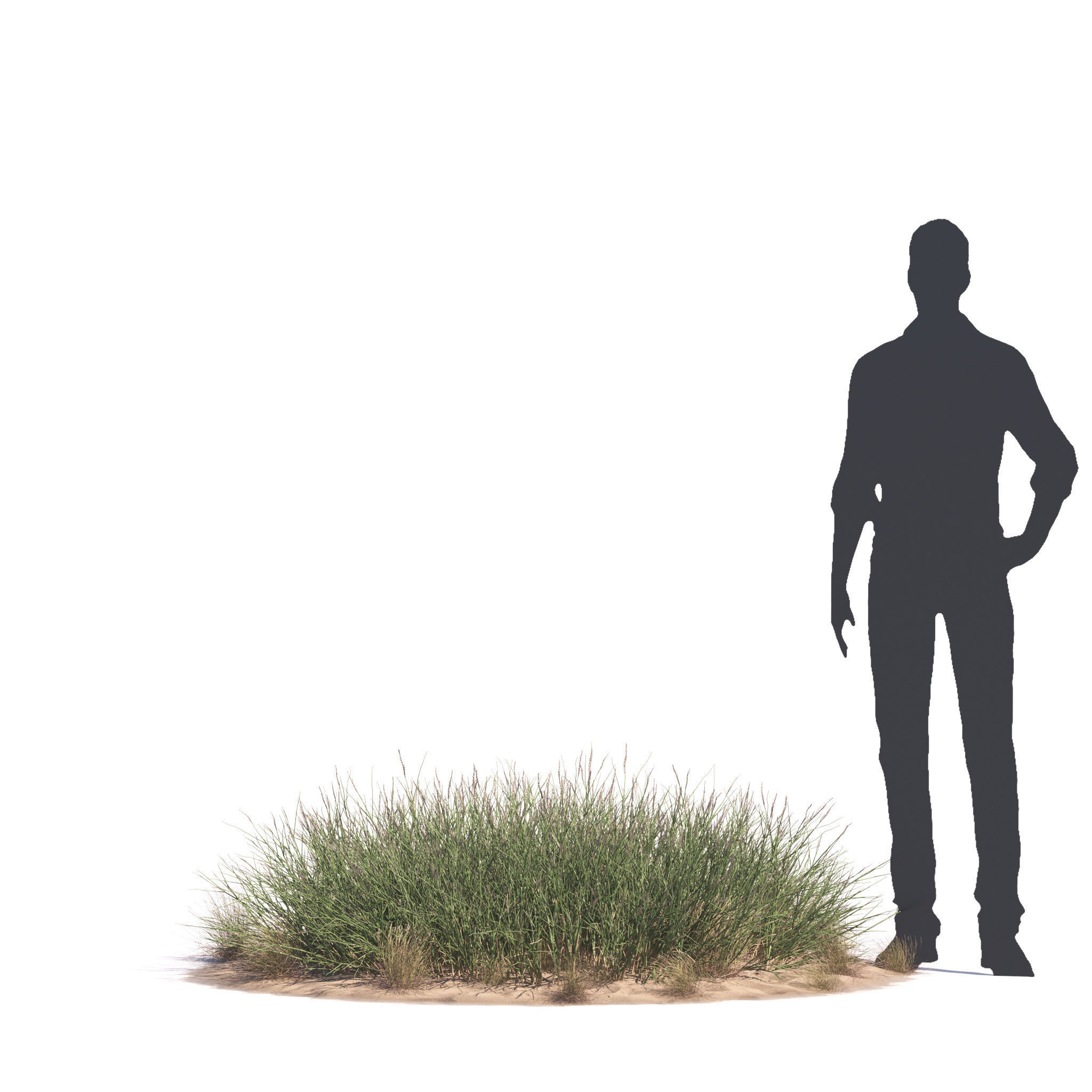 Archmodels vol 276 for 3dsmax - desert plants 3D model_67