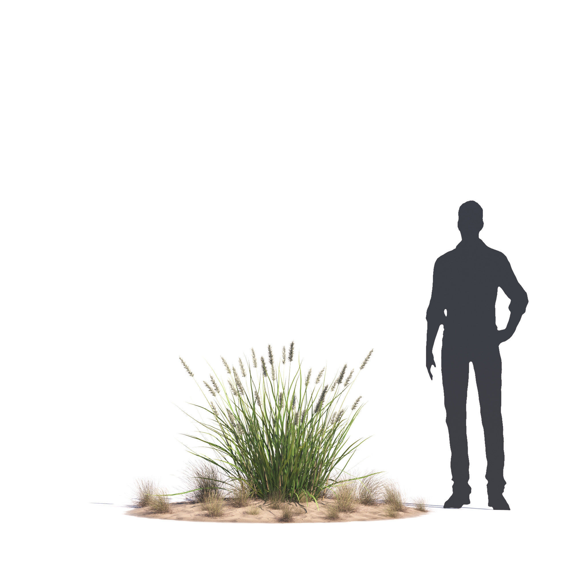 Archmodels vol 276 for 3dsmax - desert plants 3D model_62