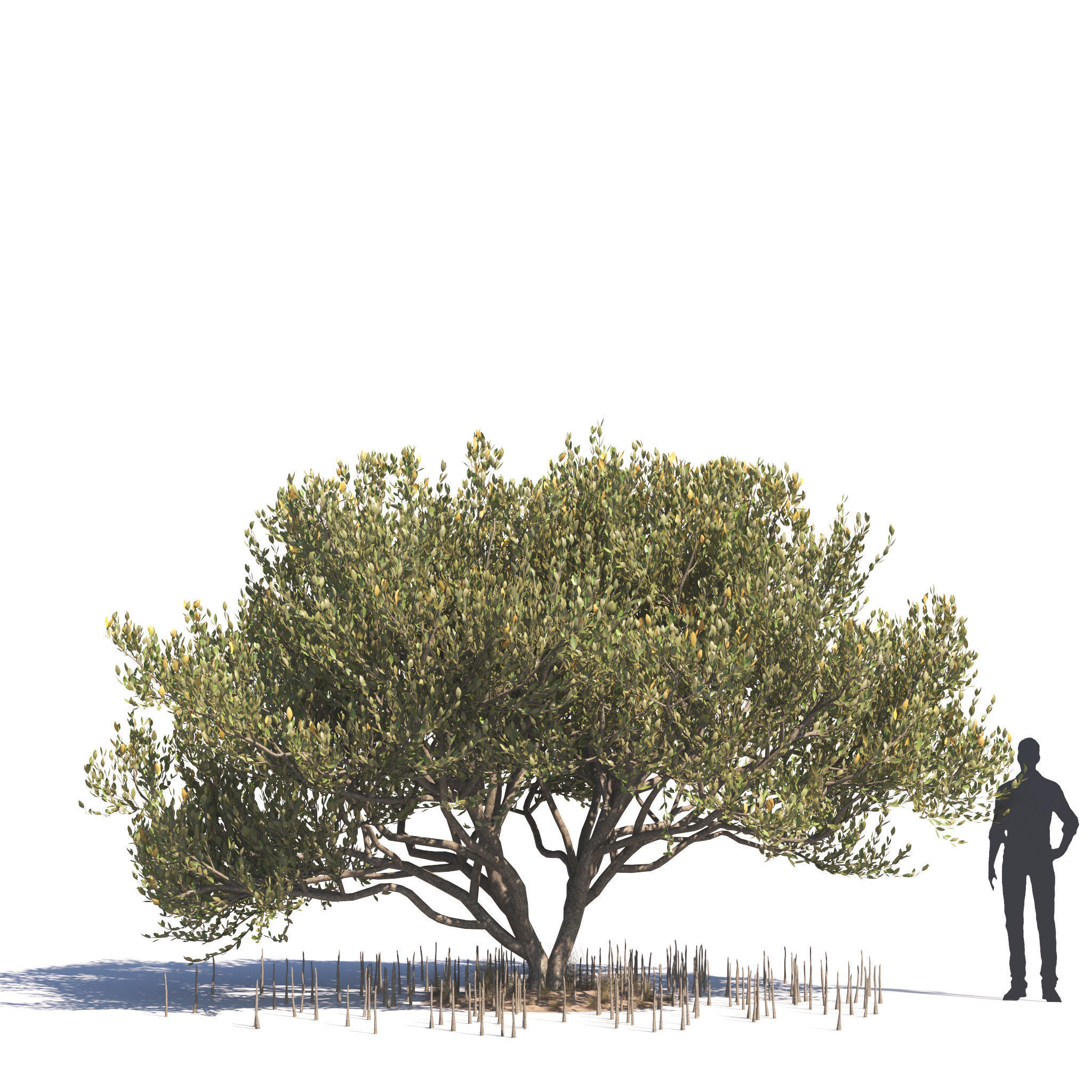 Archmodels vol 276 for 3dsmax - desert plants 3D model_60