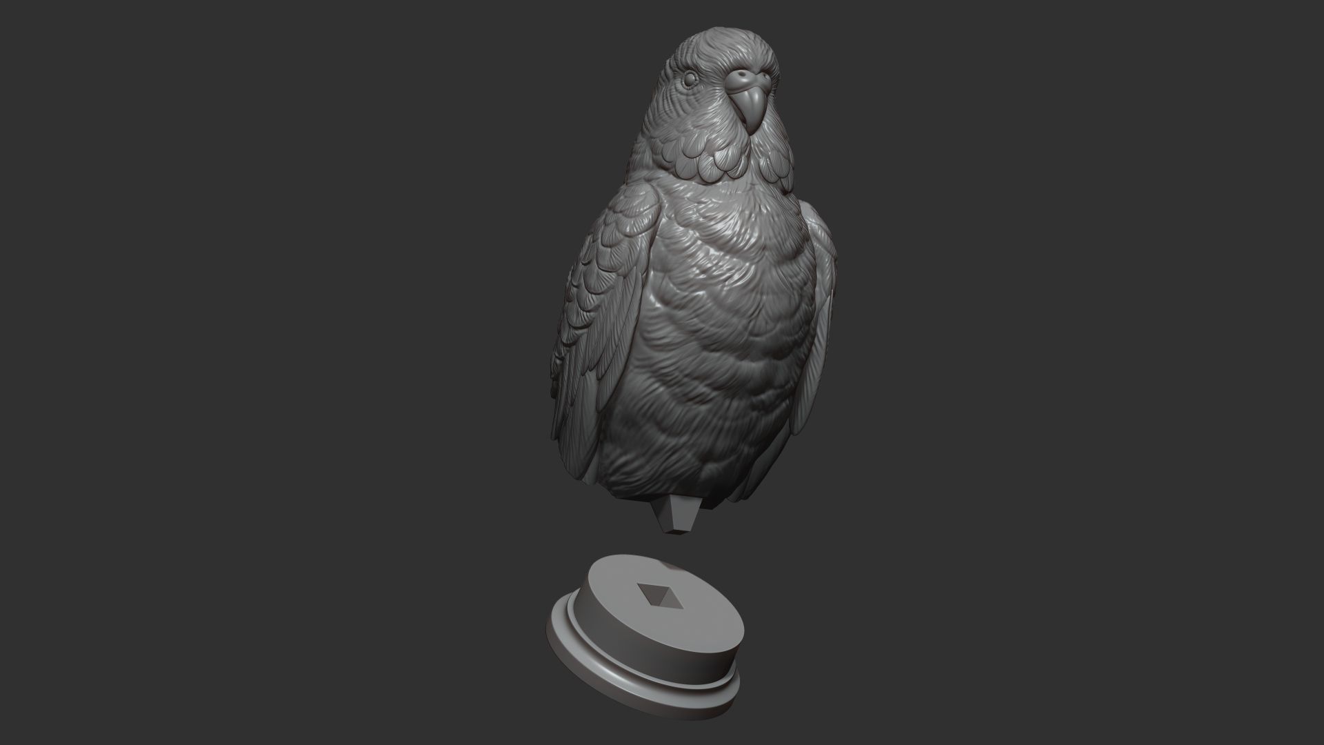 Budgerigar bust 3D print model_15