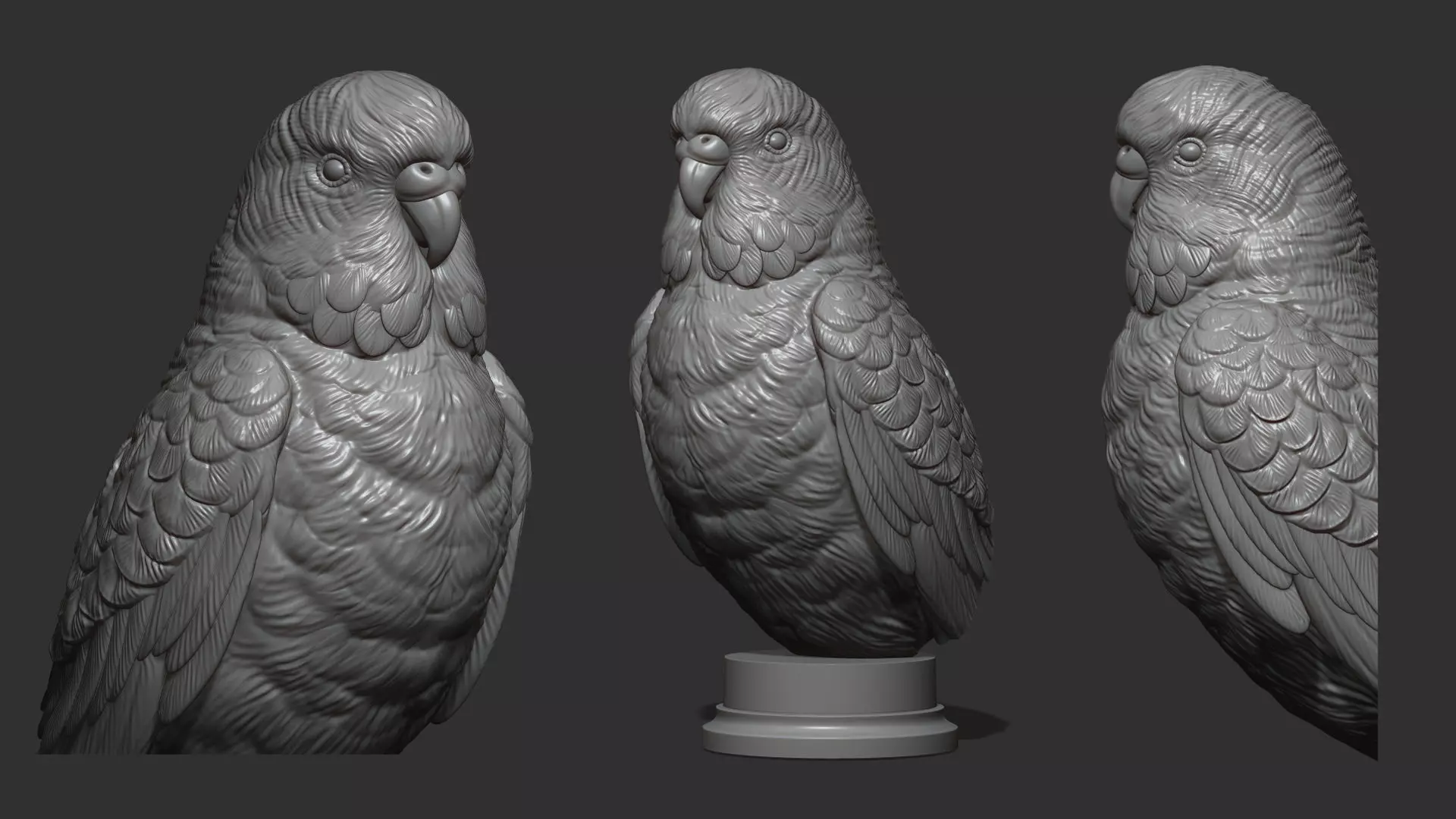 Budgerigar bust 3D print model_0