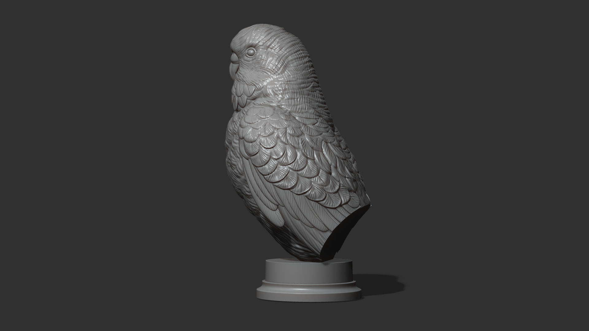 Budgerigar bust 3D print model_19
