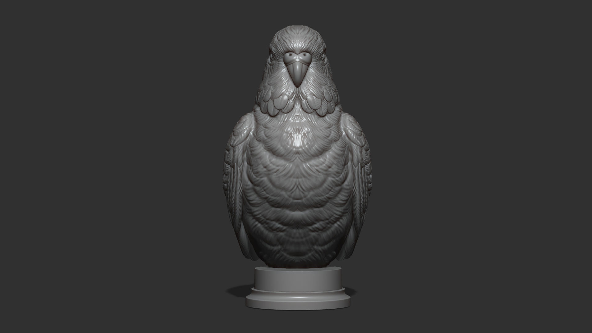 Budgerigar bust 3D print model_17