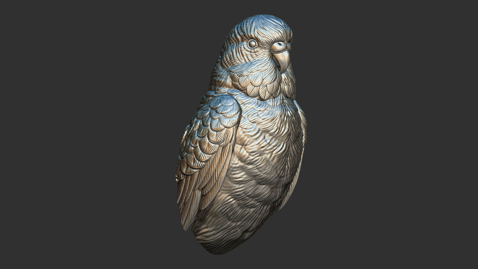 Budgerigar bust 3D print model_3