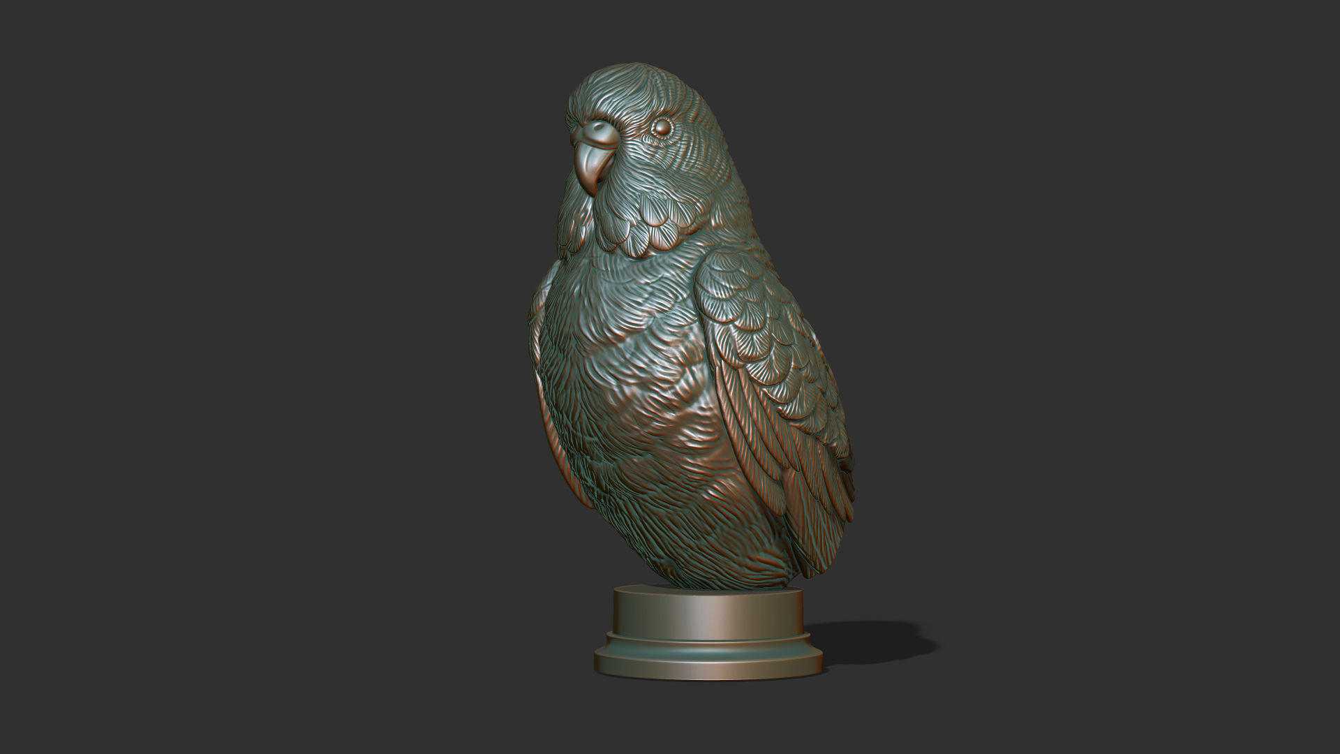 Budgerigar bust 3D print model_21